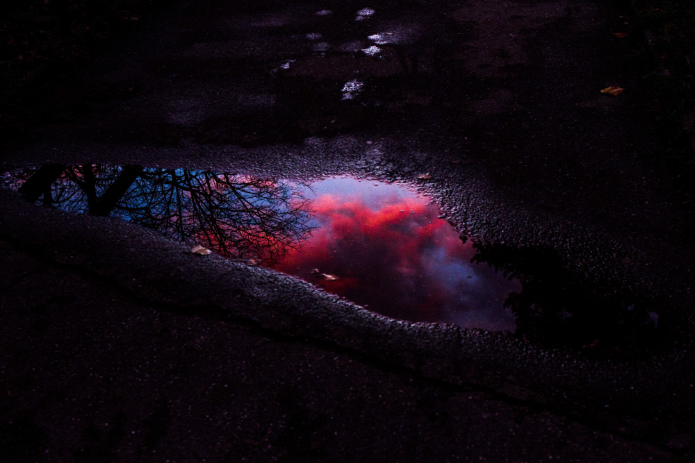 lyon parc de la tête d'or coucher de soleil flaque